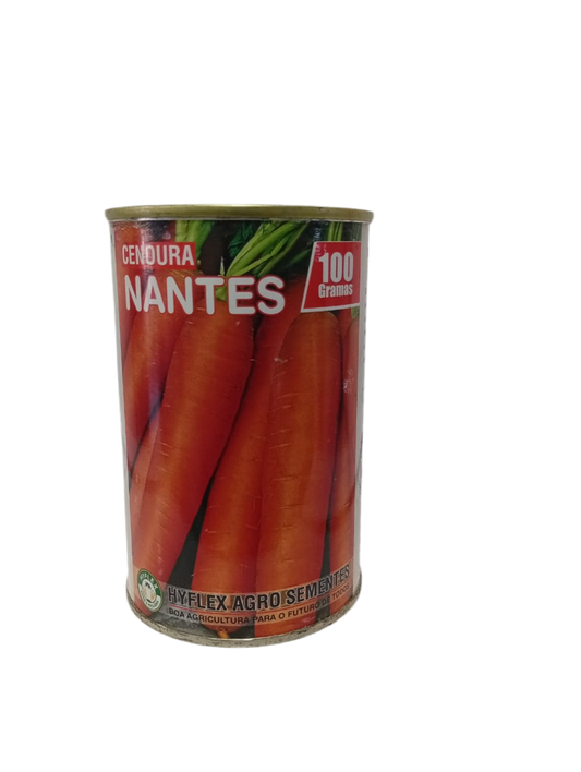 SEMENTE DE CENOURA NANTES CORELESS 100GM